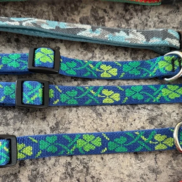 21 Vibrant Multicolor Dog Collars used
